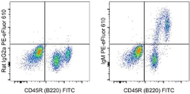 IgM Monoclonal Antibody (II/41), PE-eFluor 610, eBioscience