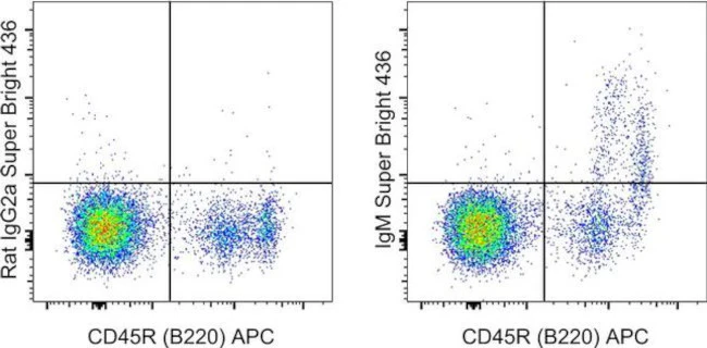 IgM Monoclonal Antibody (II/41), Super Bright 436, eBioscience