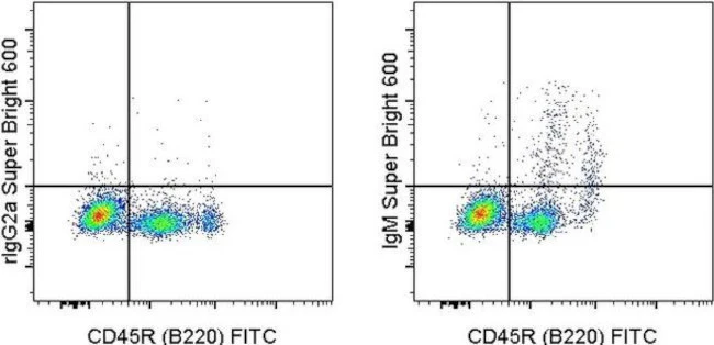 IgM Monoclonal Antibody (II/41), Super Bright 600, eBioscience