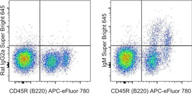 IgM Monoclonal Antibody (II/41), Super Bright™ 645