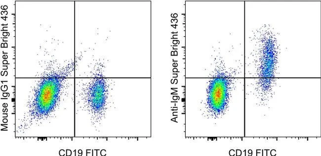IgM Monoclonal Antibody (SA-DA4), Super Bright™ 436, eBioscience™