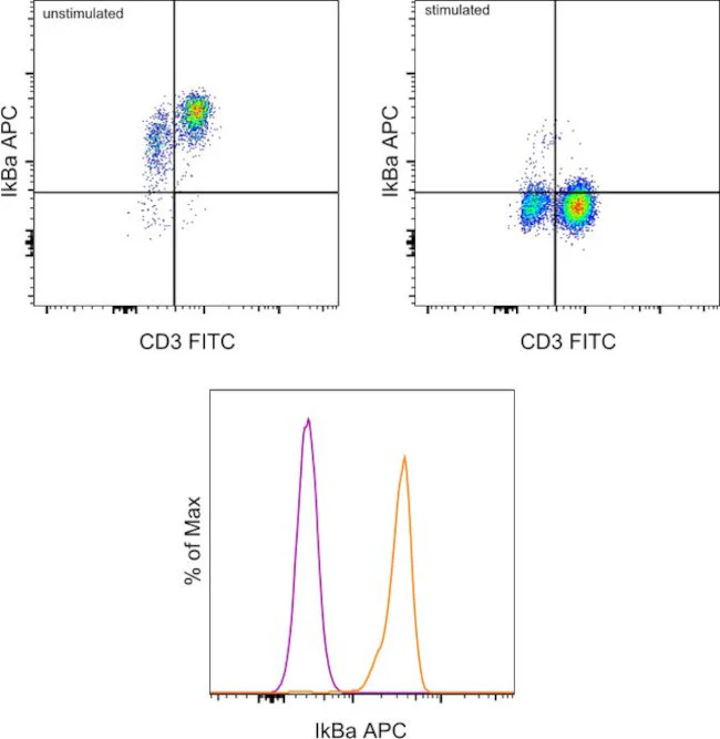 IkB alpha Monoclonal Antibody (MFRDTRK), APC, eBioscience