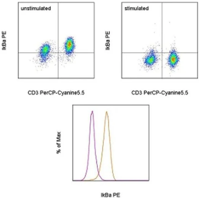 IkB alpha Monoclonal Antibody (MFRDTRK), PE, eBioscience