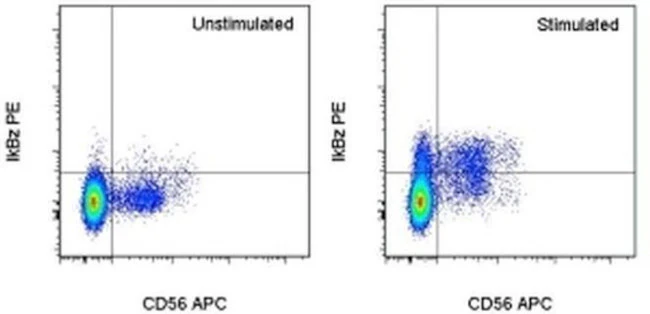 IkB zeta Monoclonal Antibody (hft2nap), PE, eBioscience