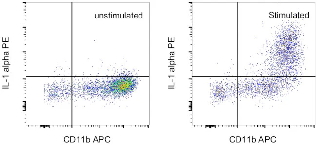 IL-1 alpha Monoclonal Antibody (ALF-161), PE, eBioscience