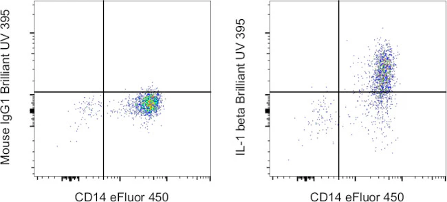 IL-1 beta Monoclonal Antibody (CRM56), Brilliant Ultra Violet 395, eBioscience