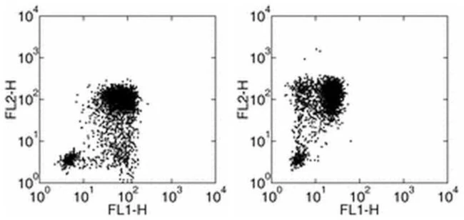 IL-1 beta Monoclonal Antibody (CRM56), eBioscience