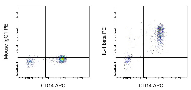 IL-1 beta Monoclonal Antibody (CRM56), PE, eBioscience