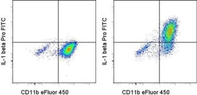 IL-1 beta (Pro-form) Monoclonal Antibody (NJTEN3), FITC, eBioscience