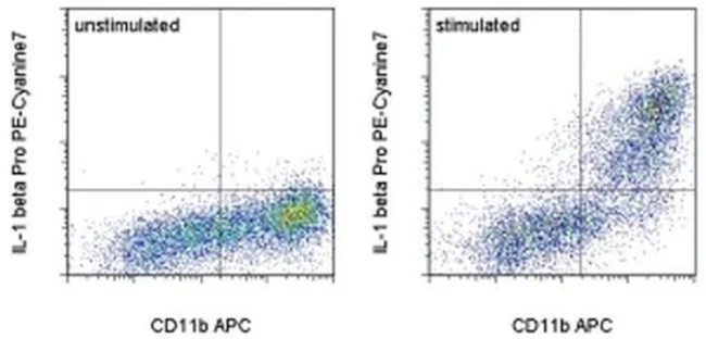 IL-1 beta (Pro-form) Monoclonal Antibody (NJTEN3), PE-Cyanine7, eBioscience