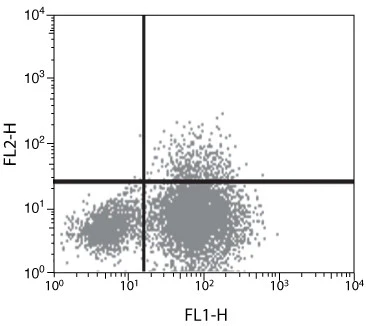 IL-10 Monoclonal Antibody (2G101H7)