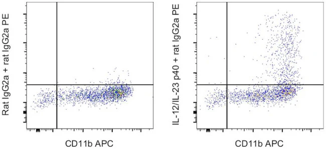 IL-12/IL-23 p40 Monoclonal Antibody (C17.8), Functional Grade, eBioscience