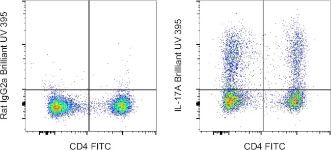 IL-17A Monoclonal Antibody (eBio17B7), Brilliant Ultra Violet 395, eBioscience