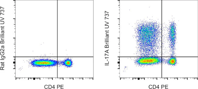 IL-17A Monoclonal Antibody (eBio17B7), Brilliant Ultra Violet 737, eBioscience