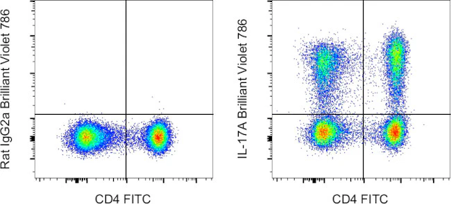 IL-17A Monoclonal Antibody (eBio17B7), Brilliant Violet 786, eBioscience