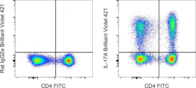 IL-17A Monoclonal Antibody (eBio17B7), Brilliant Violet™ 421, eBioscience™