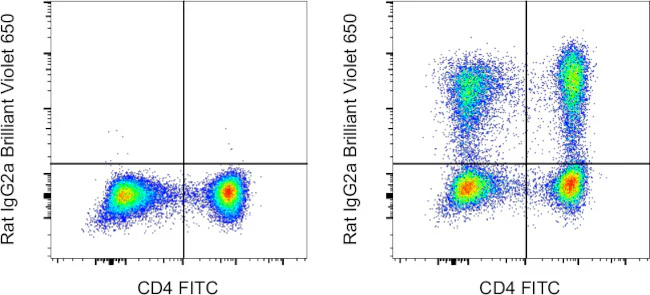 IL-17A Monoclonal Antibody (eBio17B7), Brilliant Violet™ 650, eBioscience™