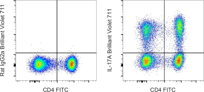 IL-17A Monoclonal Antibody (eBio17B7), Brilliant Violet™ 711, eBioscience™