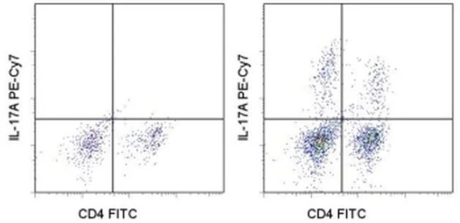 IL-17A Monoclonal Antibody (eBio17B7), PE-Cyanine7, eBioscience