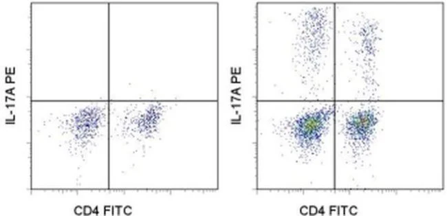 IL-17A Monoclonal Antibody (eBio17B7), PE, eBioscience