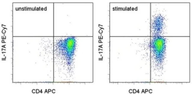 IL-17A Monoclonal Antibody (eBio64DEC17), PE-Cyanine7, eBioscience