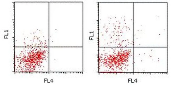 IL-17A Monoclonal Antibody (eBioTC11-18H10.1), Alexa Fluor 488, eBioscience