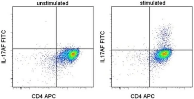 IL-17AF Monoclonal Antibody (20LJS09), FITC, eBioscience