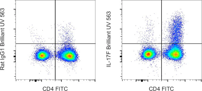 IL-17F Monoclonal Antibody (SHLR17), Brilliant Ultra Violet 563, eBioscience