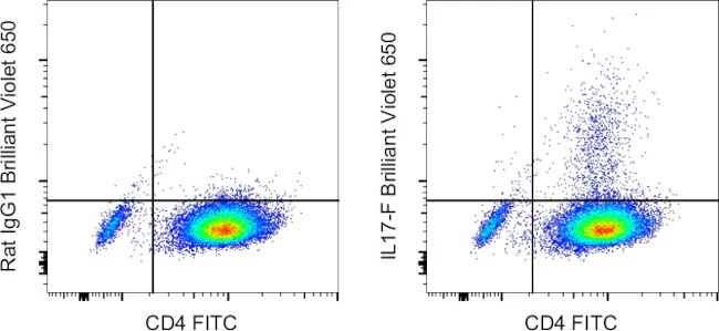 IL-17F Monoclonal Antibody (SHLR17), Brilliant Violet 650, eBioscience