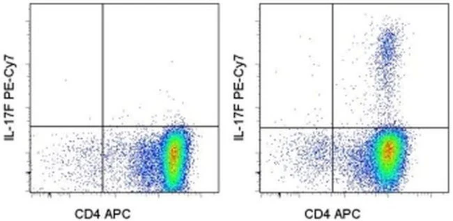 IL-17F Monoclonal Antibody (SHLR17), PE-Cyanine7, eBioscience
