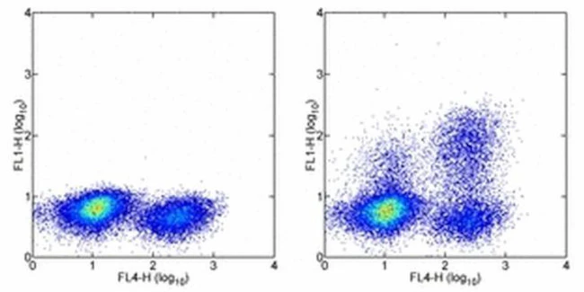 IL-2 Monoclonal Antibody (JES6-5H4), Alexa Fluor 488, eBioscience