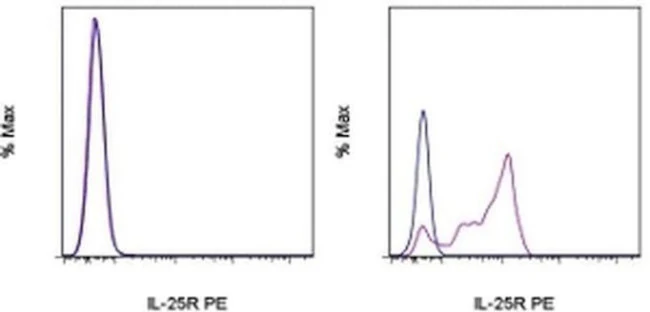 IL-25R (IL-17RB) Monoclonal Antibody (MUNC33), PE, eBioscience