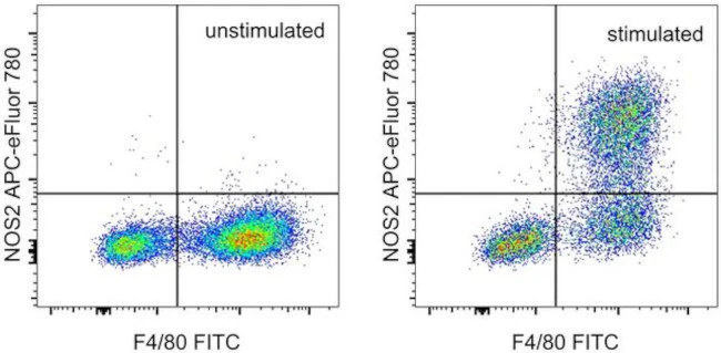 iNOS Monoclonal Antibody (CXNFT), APC-eFluor 780, eBioscience
