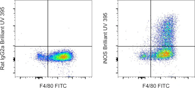 iNOS Monoclonal Antibody (CXNFT), Brilliant Ultra Violet 395, eBioscience