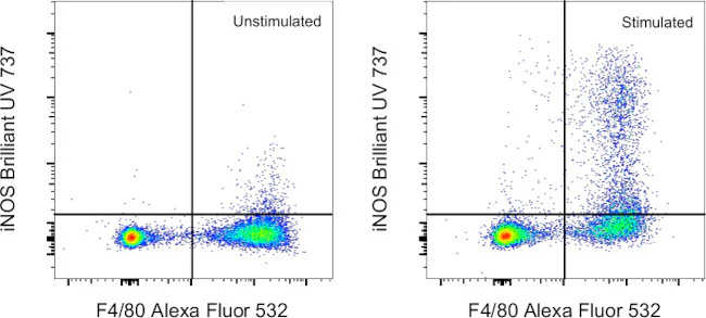 iNOS Monoclonal Antibody (CXNFT), Brilliant Ultra Violet 737, eBioscience