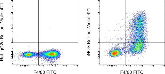iNOS Monoclonal Antibody (CXNFT), Brilliant Violet 421, eBioscience