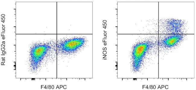 iNOS Monoclonal Antibody (CXNFT), eFluor 450, eBioscience