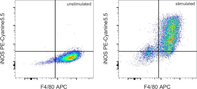 iNOS Monoclonal Antibody (CXNFT), PE-Cyanine5.5, eBioscience