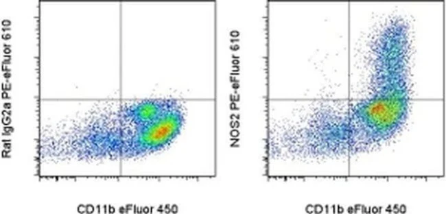 iNOS Monoclonal Antibody (CXNFT), PE-eFluor 610, eBioscience