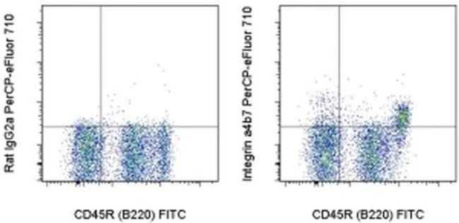 Integrin alpha 4 beta 7 (LPAM-1) Monoclonal Antibody (DATK32 (DATK-32)), PerCP-eFluor 710, eBioscience
