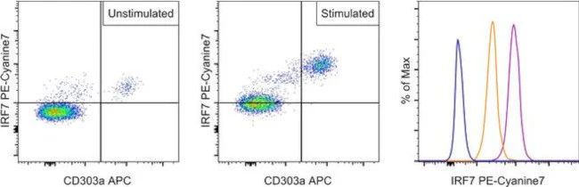 IRF7 Monoclonal Antibody (RDP4ND4), PE-Cyanine7, eBioscience