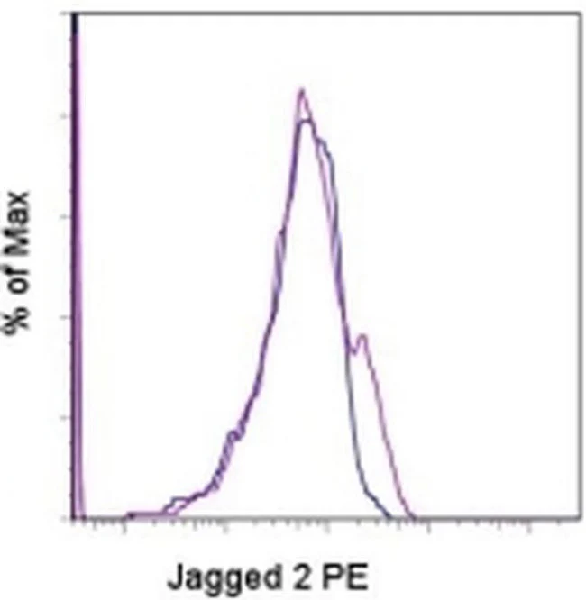Jagged 2 Monoclonal Antibody (HMJ2-1), PE, eBioscience