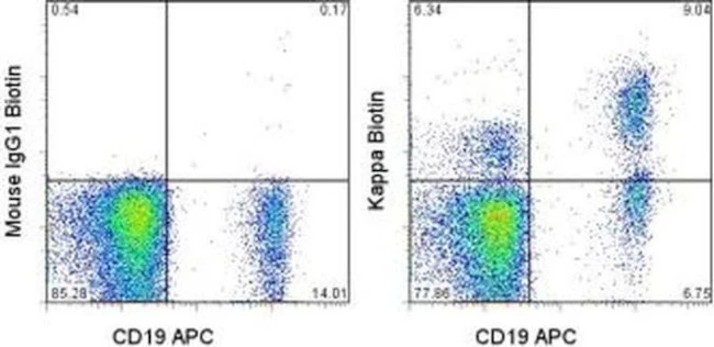 Kappa Light Chain Monoclonal Antibody (TB28-2), Biotin, eBioscience