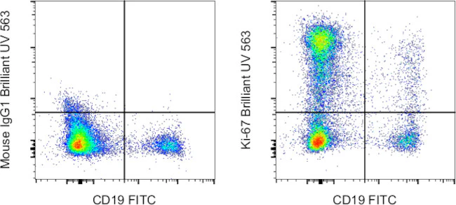 Ki-67 Monoclonal Antibody (20Raj1), Brilliant Ultra Violet 563, eBioscience