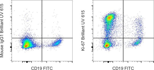 Ki-67 Monoclonal Antibody (20Raj1), Brilliant Ultra Violet 615, eBioscience
