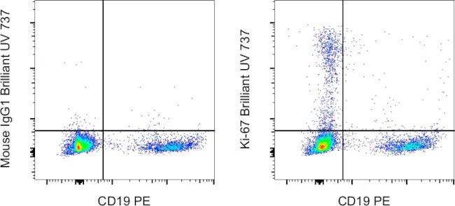 Ki-67 Monoclonal Antibody (20Raj1), Brilliant Ultra Violet 737, eBioscience