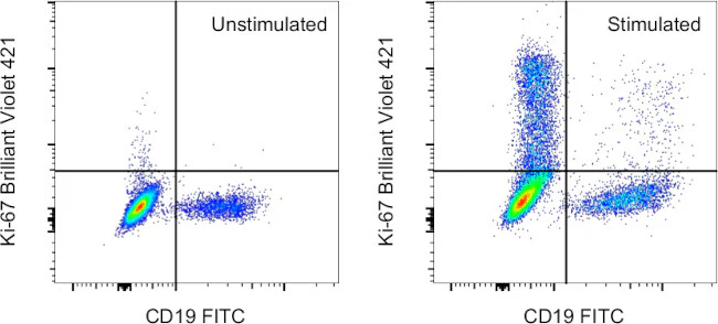 Ki-67 Monoclonal Antibody (20Raj1), Brilliant Violet 421, eBioscience