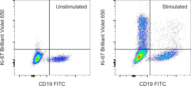 Ki-67 Monoclonal Antibody (20Raj1), Brilliant Violet 650, eBioscience