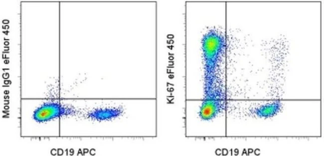 Ki-67 Monoclonal Antibody (20Raj1), eFluor 450, eBioscience