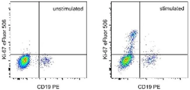Ki-67 Monoclonal Antibody (20Raj1), eFluor 506, eBioscience